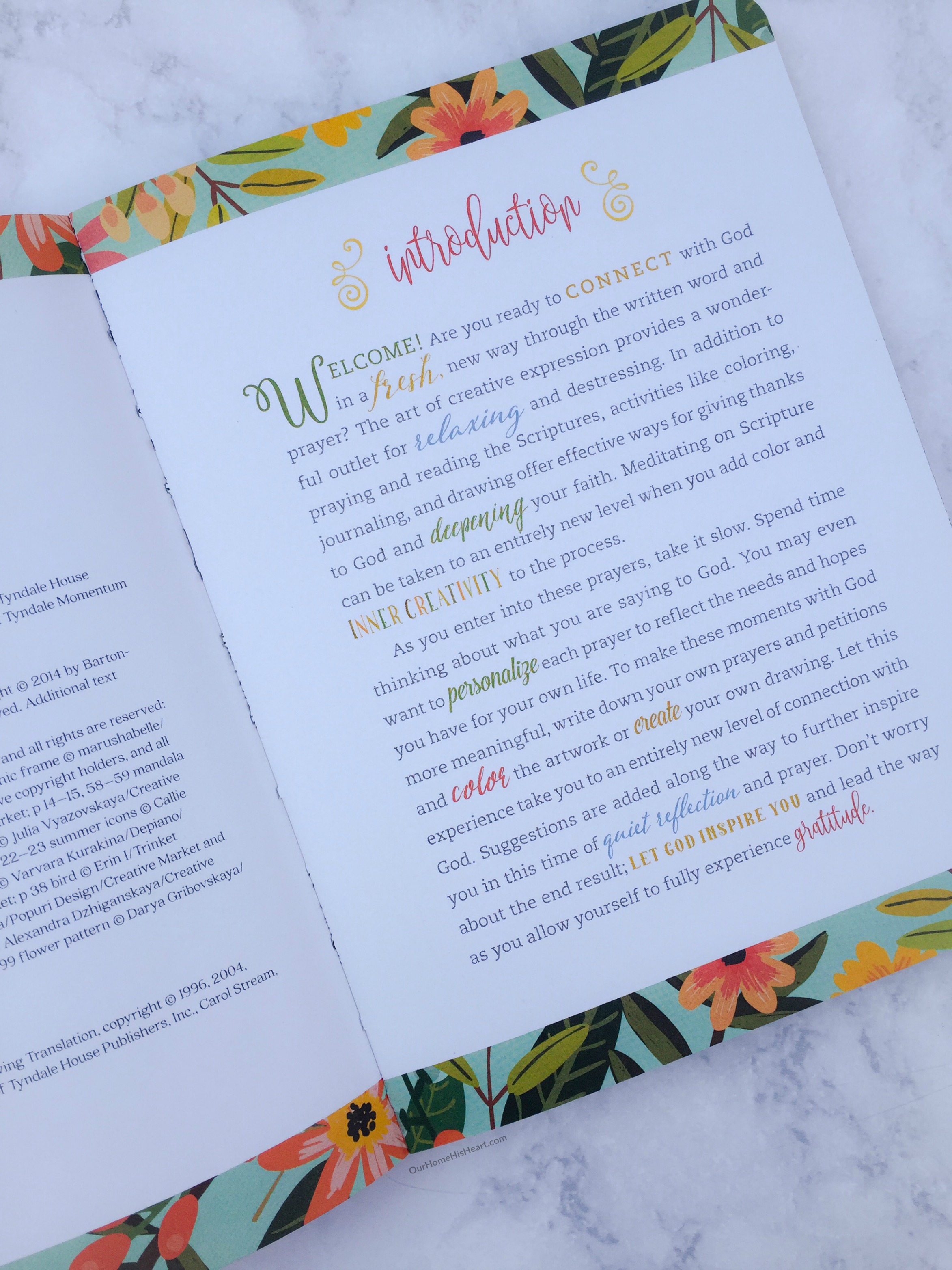 Gratitude: A Prayer and Praise Coloring Journal