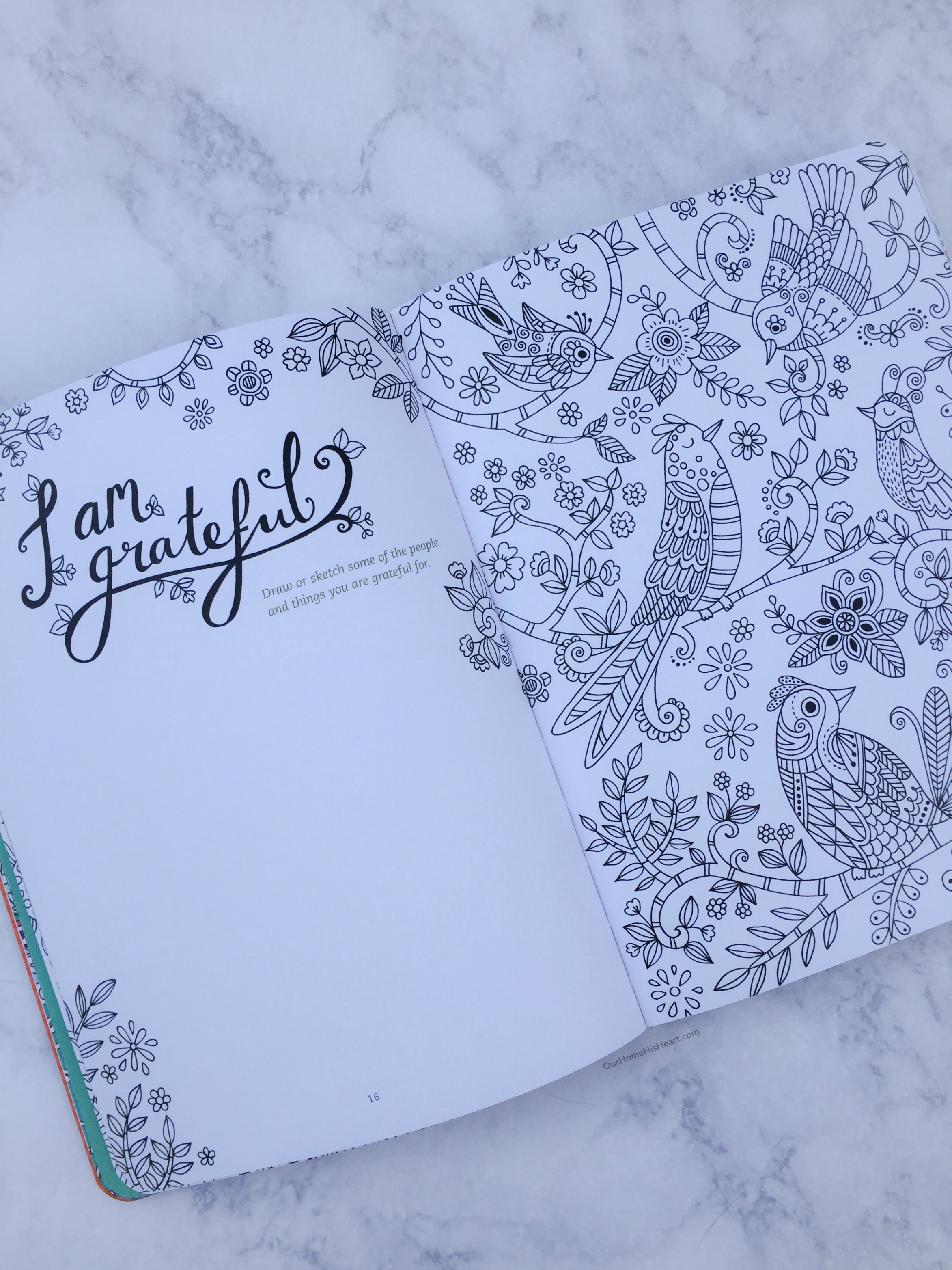 Gratitude: A Prayer and Praise Coloring Journal