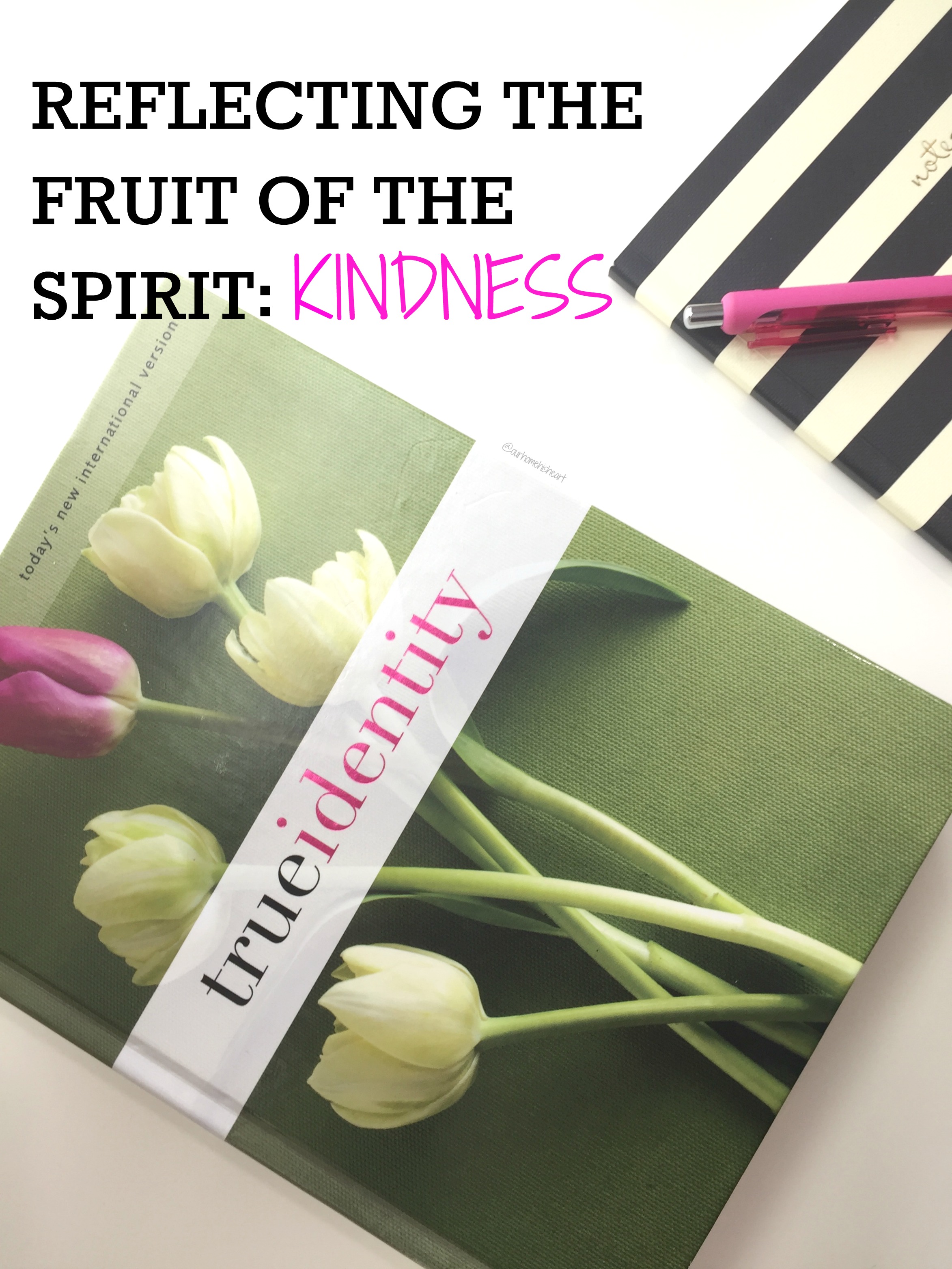 fruit of the spirit Kindness