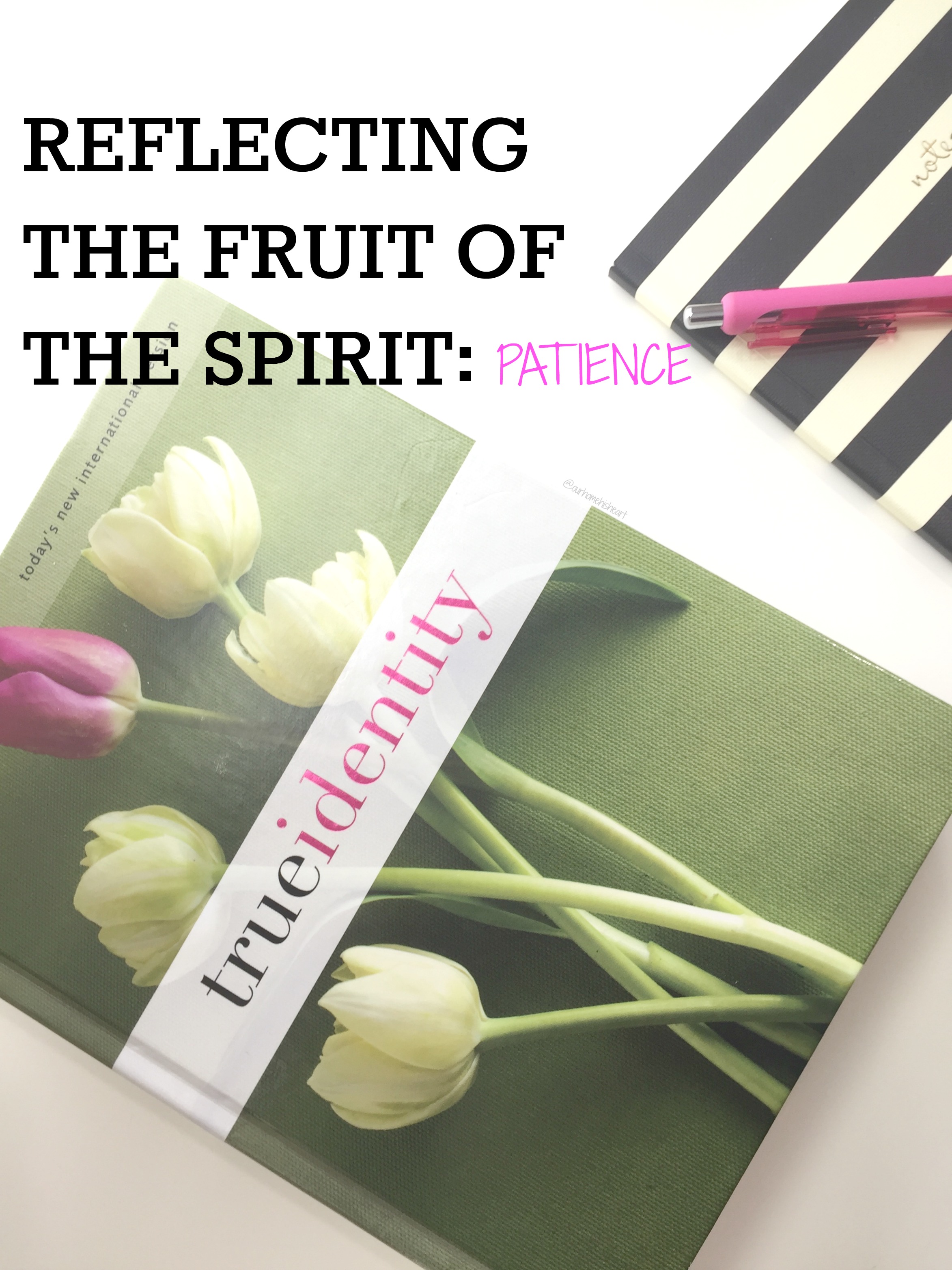 Fruit of the Spirit Patience 