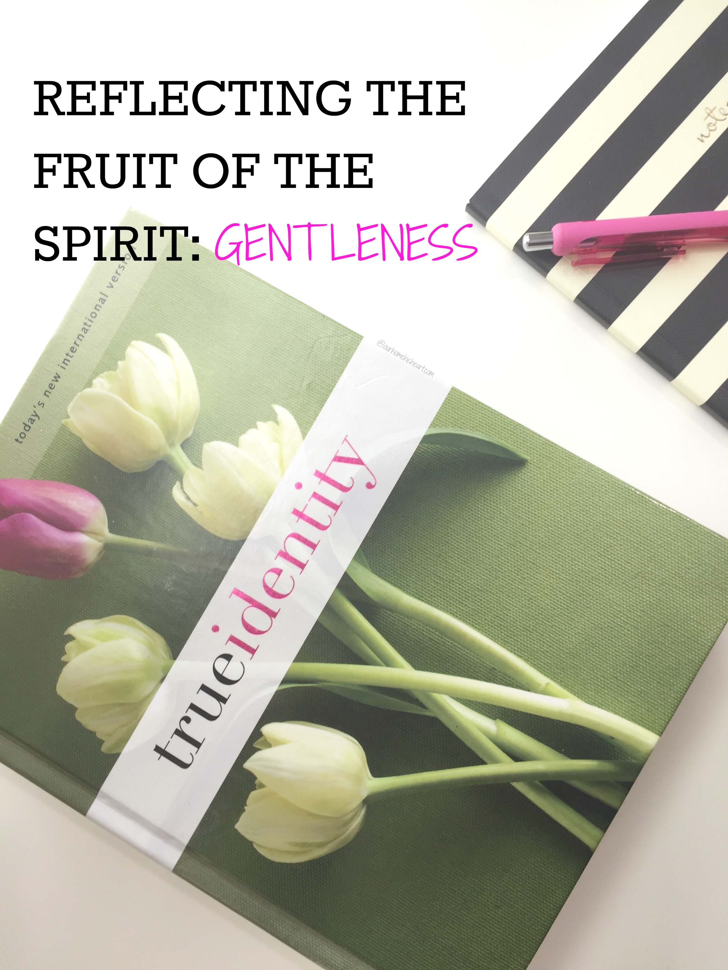 Fruit of the Spirit 