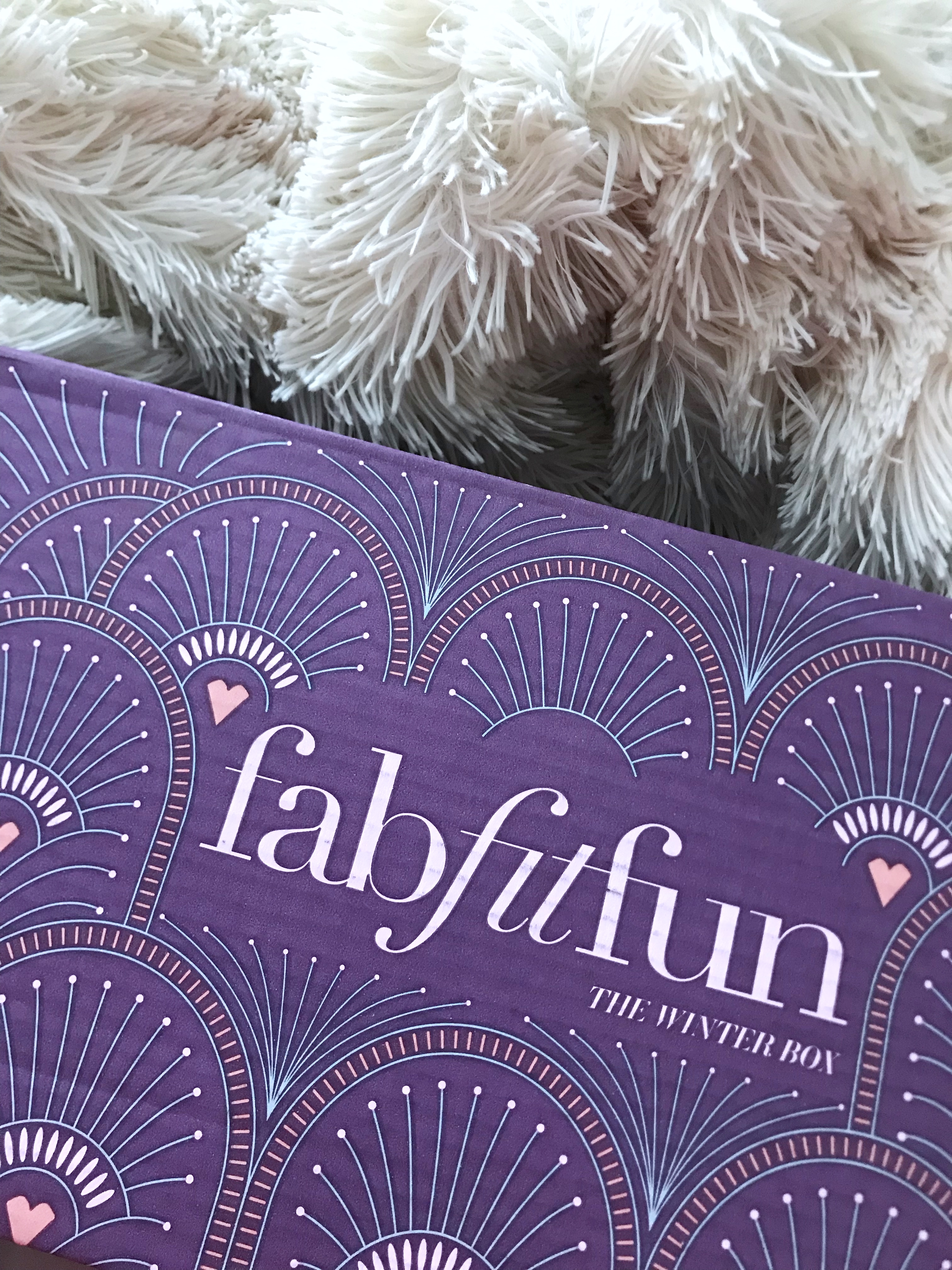 fab fit fun winter 2017 box